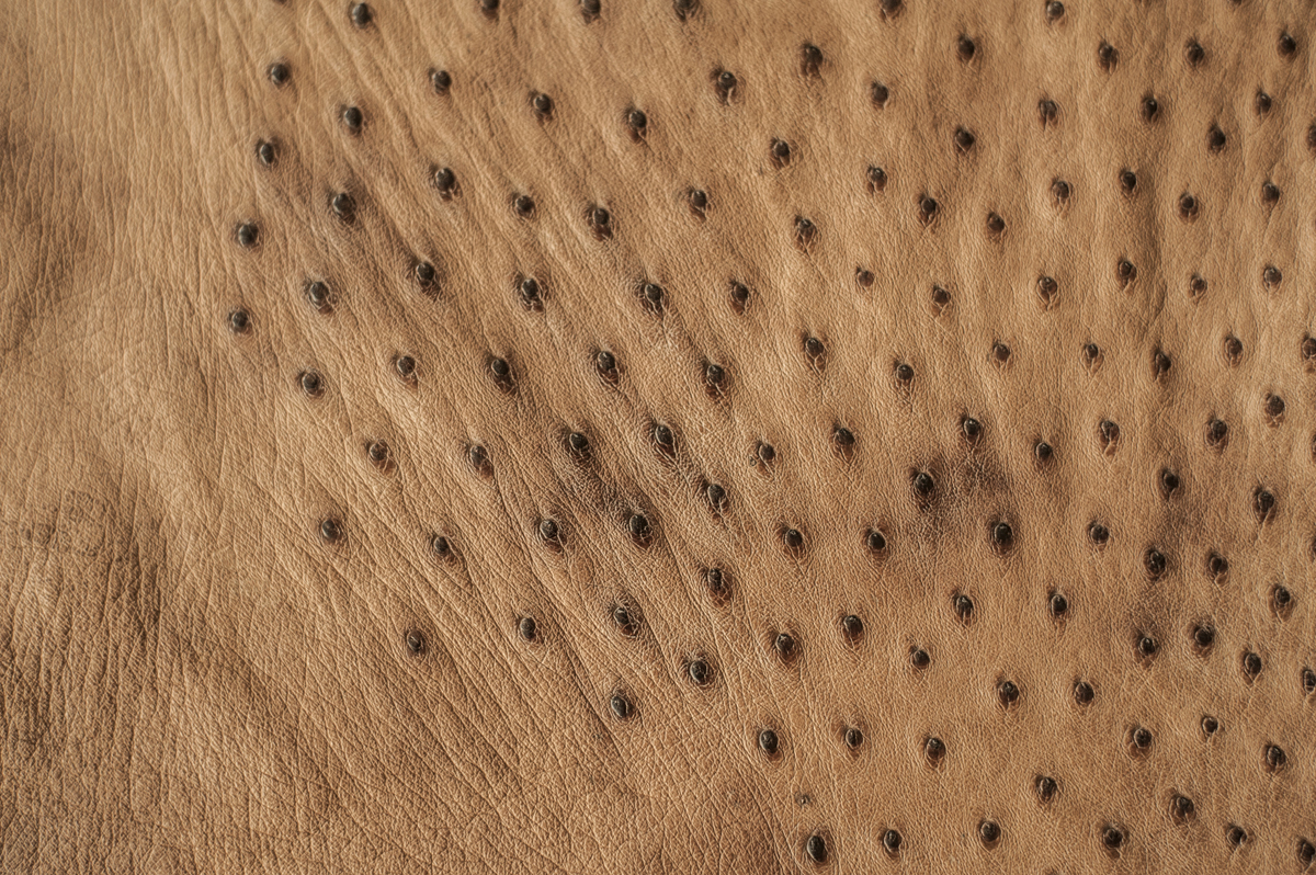 The Artisan Workshop